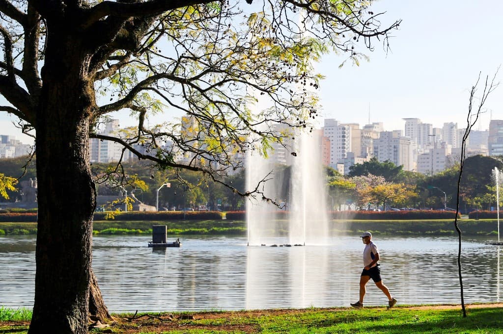 Parque Ibirapuera, em São Paulo, com o skyline ao fundo